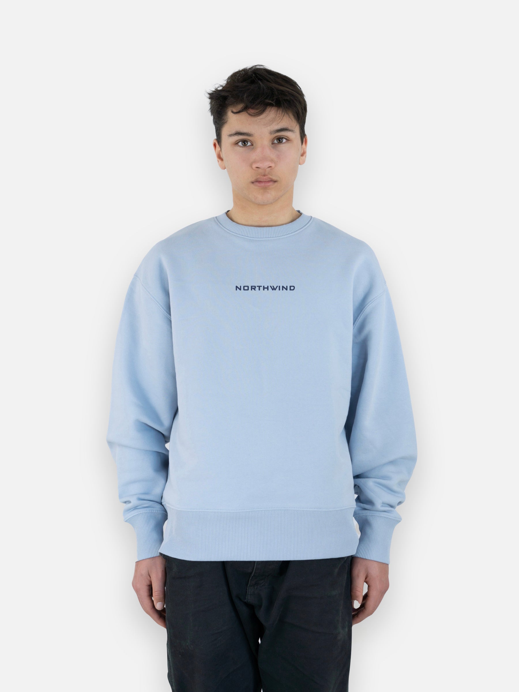 The Waves Sweatshirt - Sky Blue