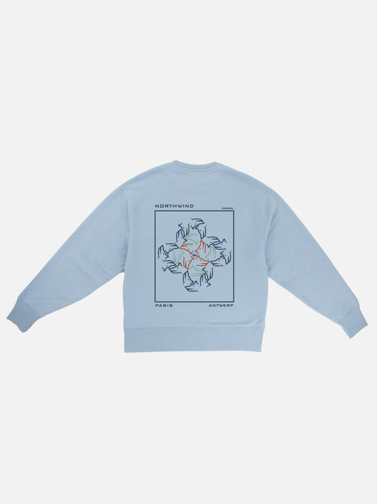 Cosmos Sweatshirt - Sky Blue