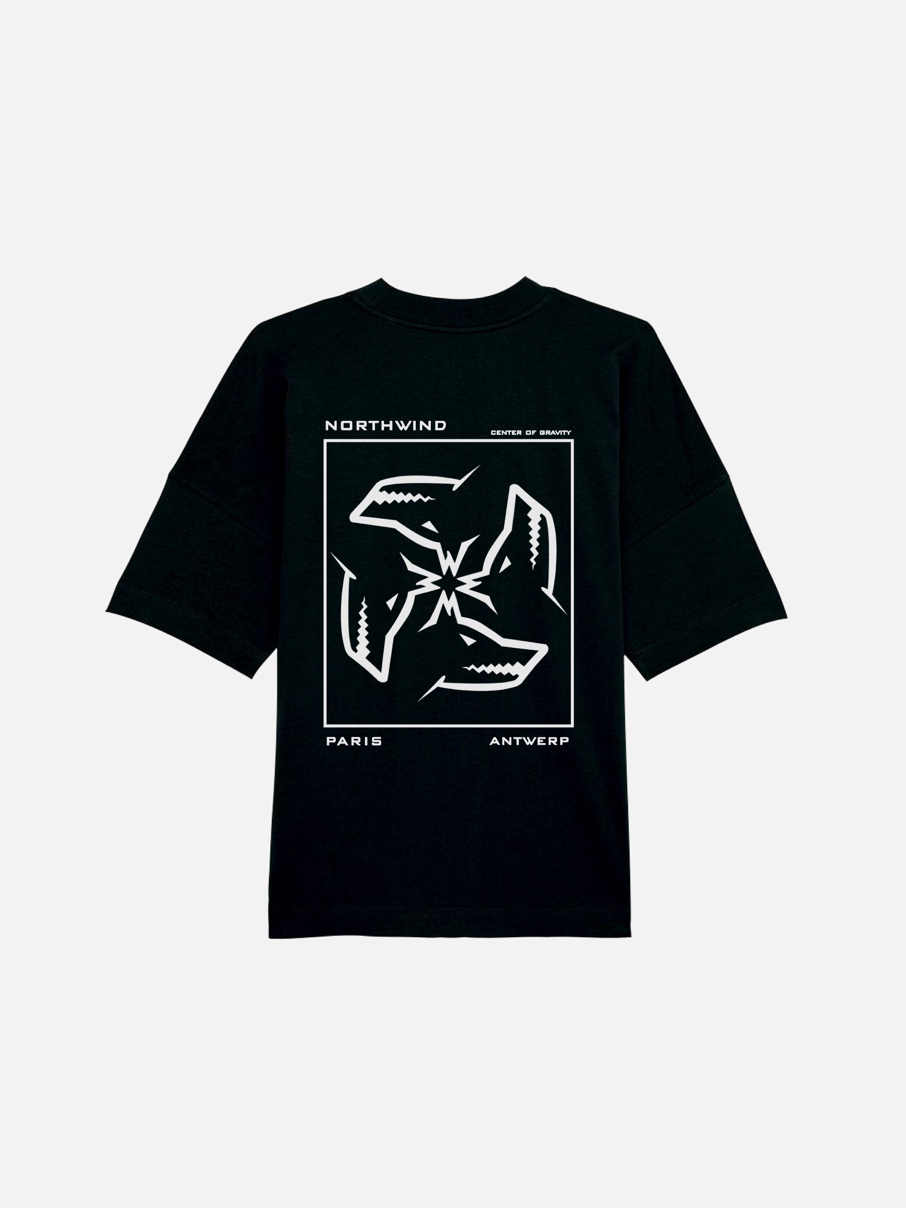 Center of Gravity Organic T-Shirt - Black
